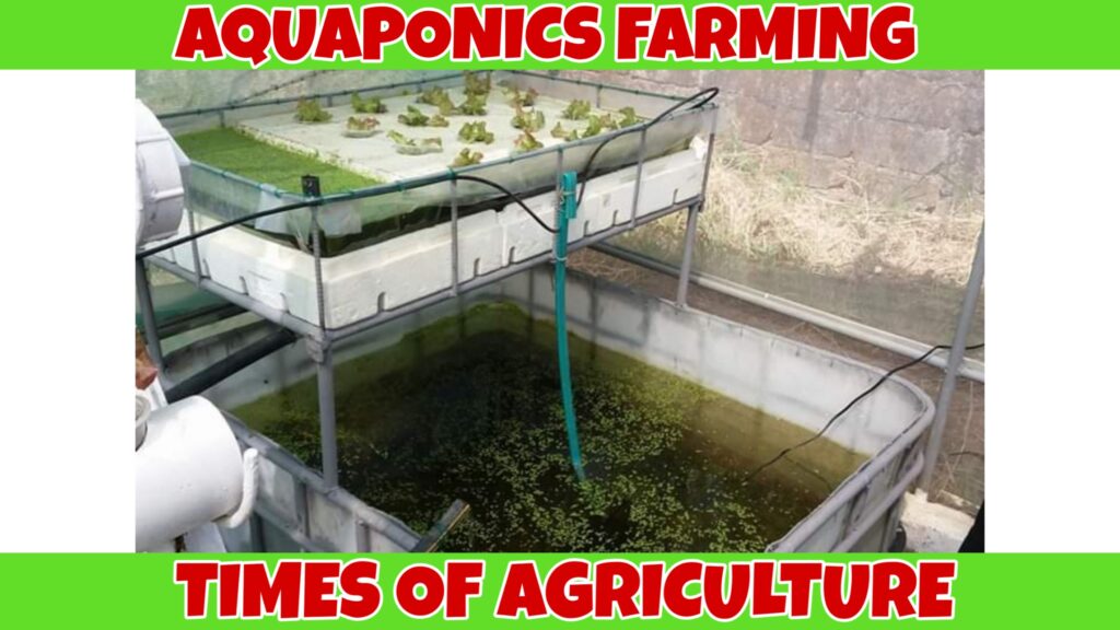 TOA AQUAPONICS FARMING