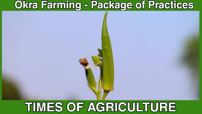 TOA OKRA FARMINNG PACKAGE OF PRACTICES