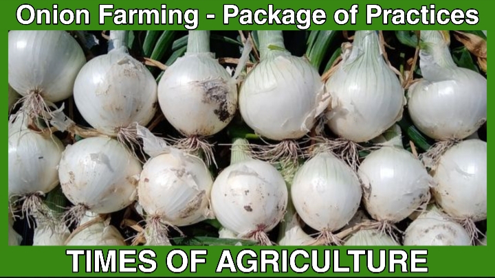 TOA ONION FARMING PACKAGE OF PRACTICES