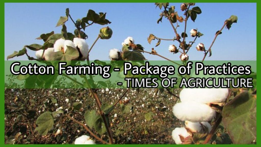 COTTON FARMING PACKAGE OF PRACTICES