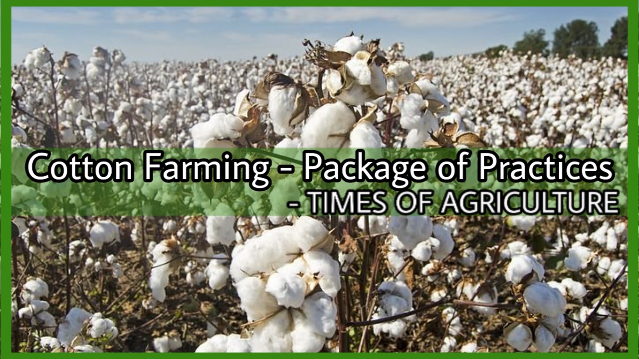 COTTON FARMING PACKAGE OF PRACTICES