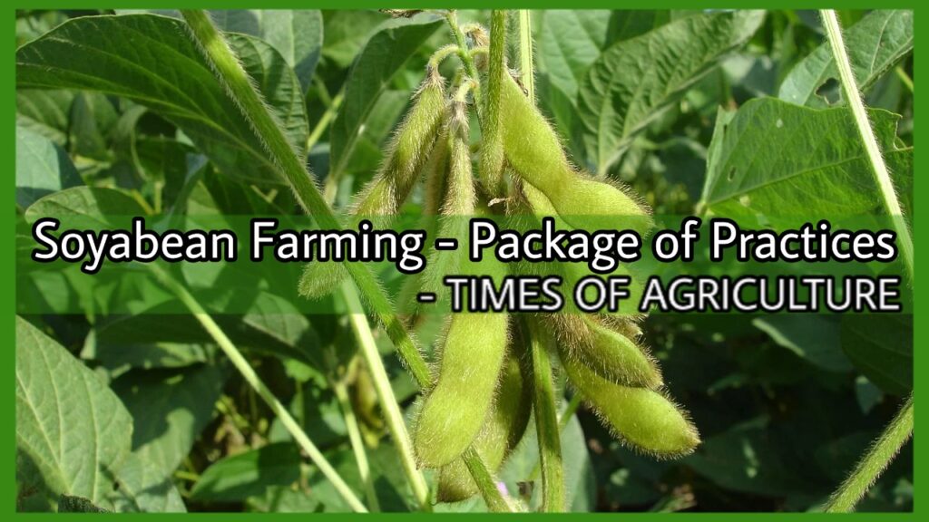 How to Start Profitable Soybean Farming - Package of Practices - TIMES ...