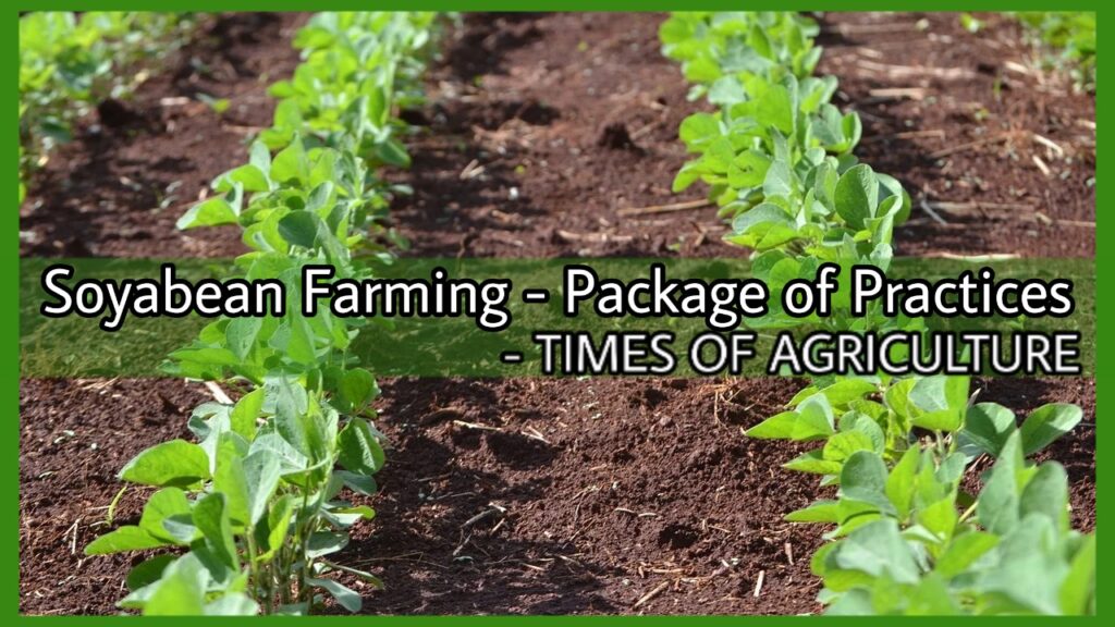 Soybean farming Package of Practices