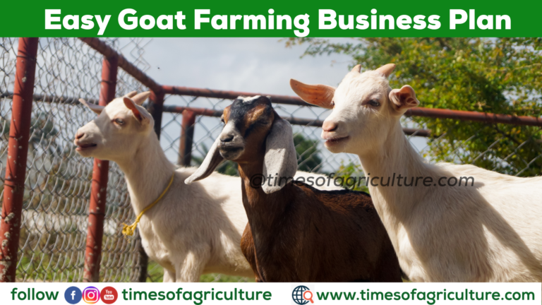 Goat Farming Business Plan - TIMES OF AGRICULTURE