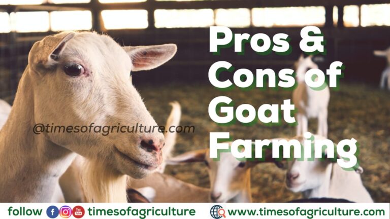 advantages and disadvantages of goat farming