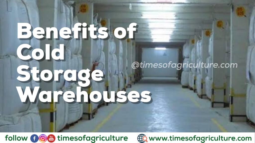 Benefits of Cold Storage Warehouses TIMES OF AGRICULTURE