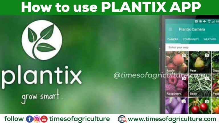 How to Use Plantix App - TIMES OF AGRICULTURE