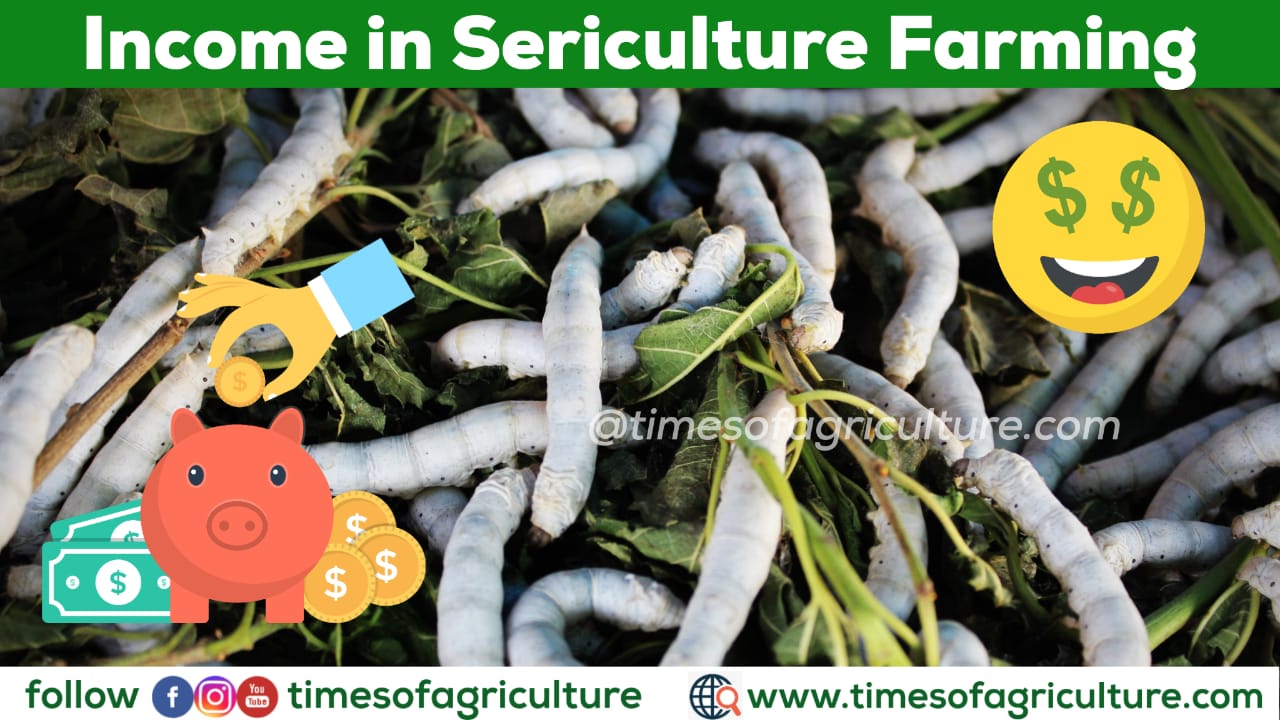 INCOME IN SERICULTURE FARMING