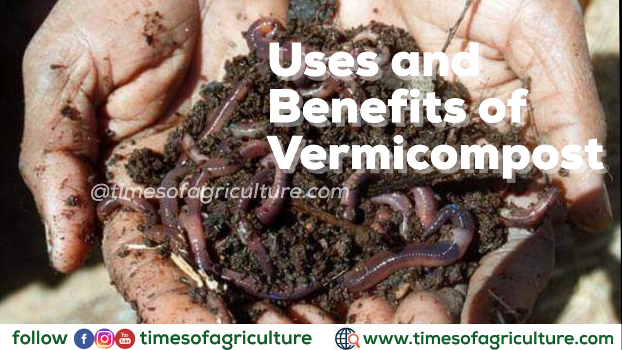 USES AND BENEFITS OF VERMICOMPOST