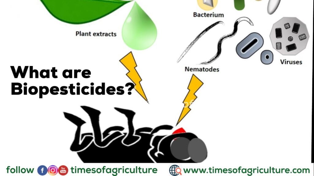 Bio Pesticide Uses in Agriculture